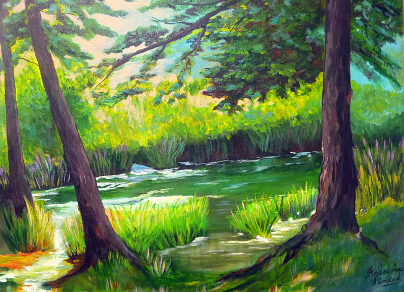 La rivière coule tranquillement